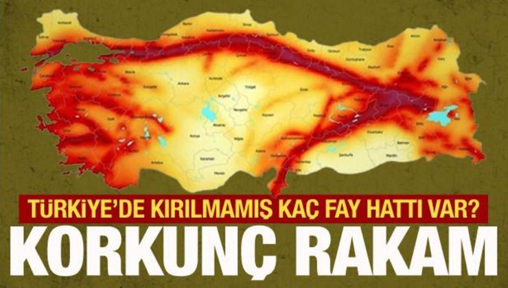 Bakan Özhaseki: 500’e yakın kırılmamış fay hattı var ülkemizde