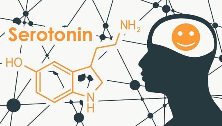 Serotonin, melatonin mutluluk hormonu nasıl artar? Mutluluk hormonu sağlayan şeyler…