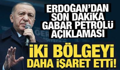 Son Dakika: Erdoğan’dan son dakika Gabar petrolü açıklaması: İki bölgeyi daha işaret etti!