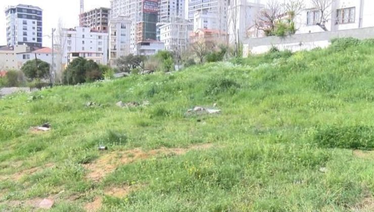 İstanbul’da sokak köpeği dehşeti: 7 yaşındaki Çağrı’ya 30 dikiş atıldı!