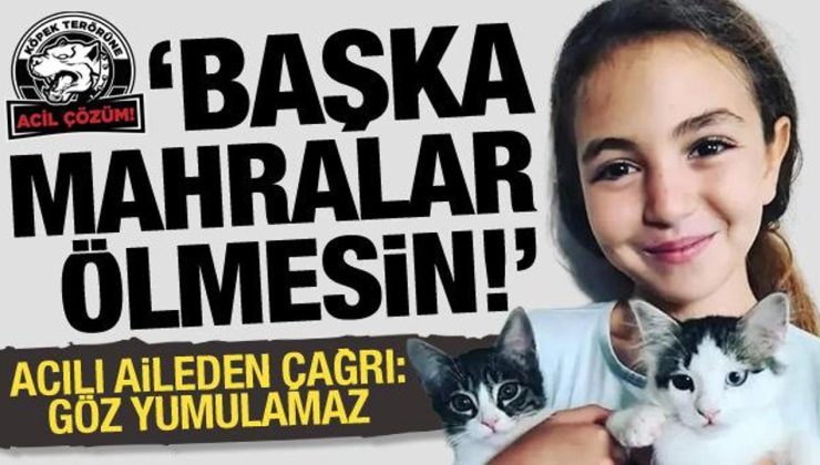 Mahra Pınar’ın ailesinden başıboş köpek düzenlemesine destek: Başka Mahralar ölmesin