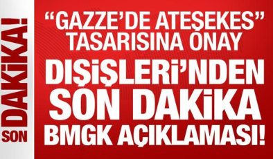 Dışişleri’nden son dakika BMGK açıklaması!