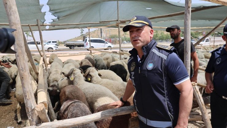 Gaziantep’te Kurban Bayramı öncesi sıkı denetimler sürüyor