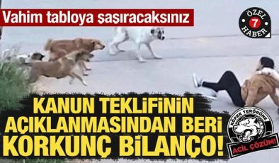 Kanun teklifinin açıklanmasından beri korkunç bilanço!