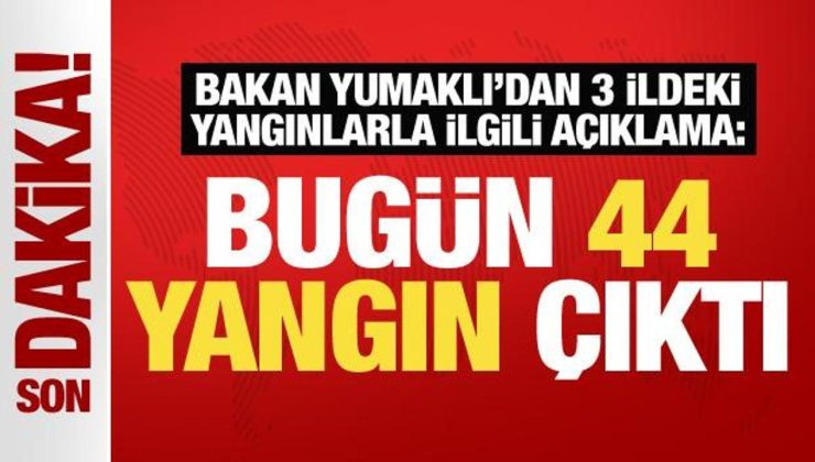 Bakan Yumaklı’dan 3 şehirdeki orman yangınlarına ilişkin önemli açıklamalar