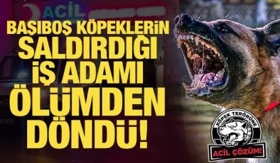 Başıboş köpeklerin saldırdığı iş adamı ölümden döndü!