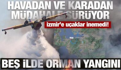 Beş ilde orman yangını: Bergama’dan acı haber, İzmir’e uçak seferleri aksadı