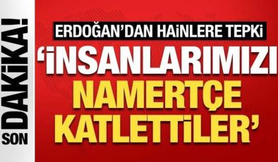 Cumhurbaşkanı Erdoğan’dan FETÖ’cü hainlere tepki: İnsanlarımızı namertçe katlettiler