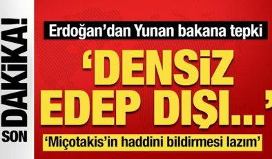 Cumhurbaşkanı Erdoğan’dan Yunan bakana sert tepki: ‘Densiz, edep dışı…’