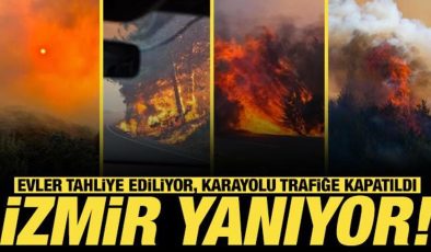 İzmir’in birçok ilçesinde yangın! Alevler büyüdü