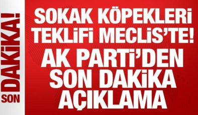 Sokak köpekleri düzenlemesi Meclis’te: AK Parti’den 17 maddelik teklif!