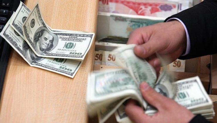 Son 20 yılda Türkiye UDY’lerden 262 milyar dolarlık pay aldı